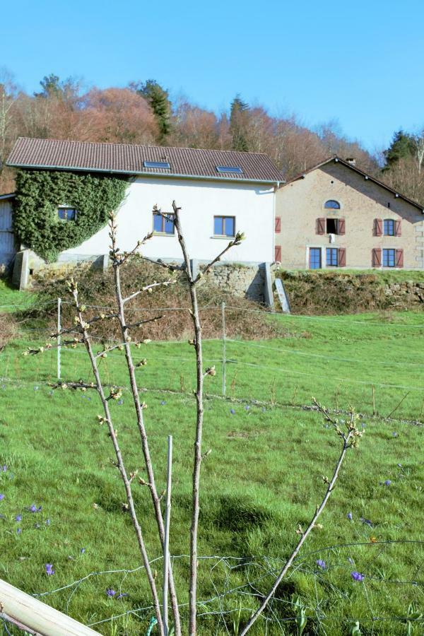 Villa Au Temps De La Source Raon-aux-Bois Exterior foto