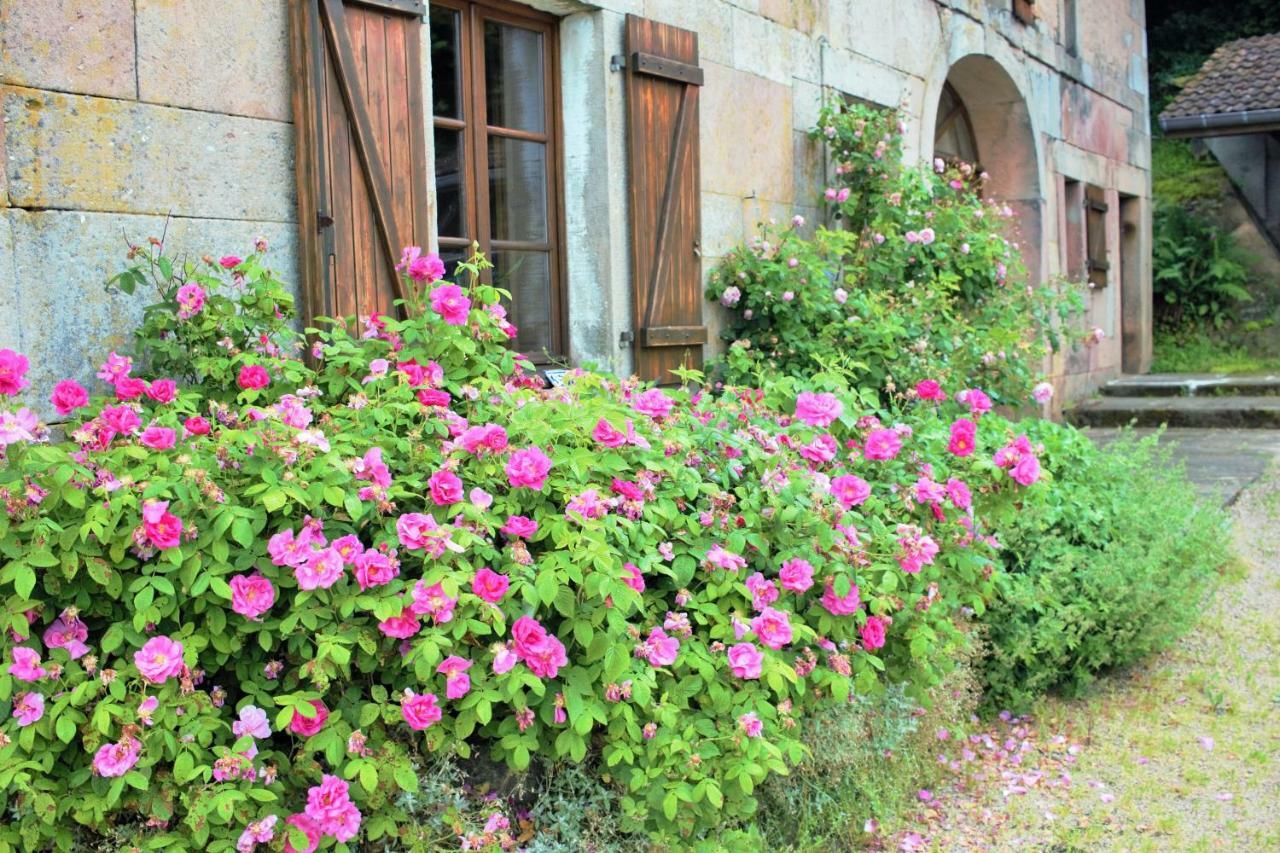 Villa Au Temps De La Source Raon-aux-Bois Exterior foto